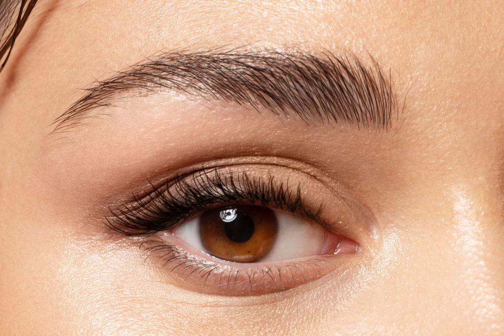Close-up of a person's eye with well-groomed dark eyebrows, long lashes, and clear, smooth skin. The eye color is brown, and the lighting highlights the natural texture of the skin and eyelashes. Microdermabrasion Wake County treatments enhance this flawless look.